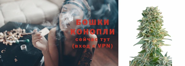 mix Богородск